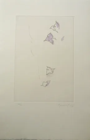 Grabado Hernandez Pijuan - PL6