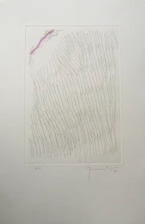 Grabado Hernandez Pijuan - PL8