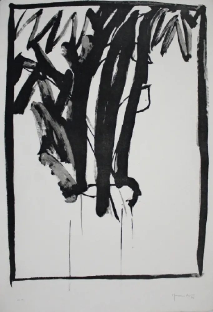 Aguatinta Hernandez Pijuan - Planta de saló 2