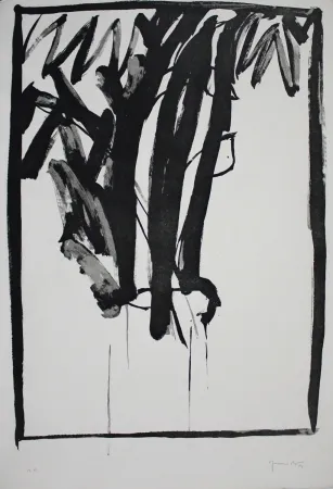 Aguatinta Hernandez Pijuan - Planta de saló 2