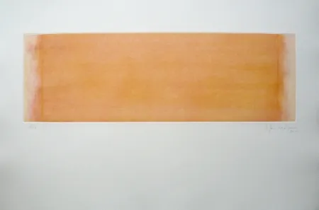 Grabado Hernandez Pijuan - Polychrome 14