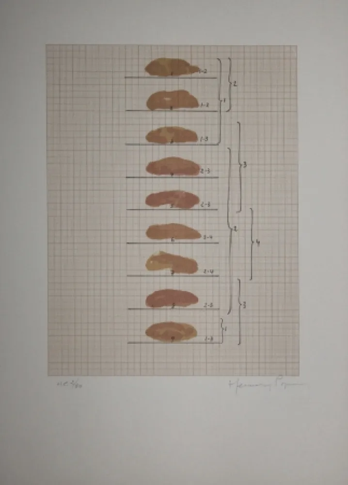Litografía Hernandez Pijuan - Redfern