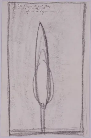 Sin Técnico Hernandez Pijuan - Untitled