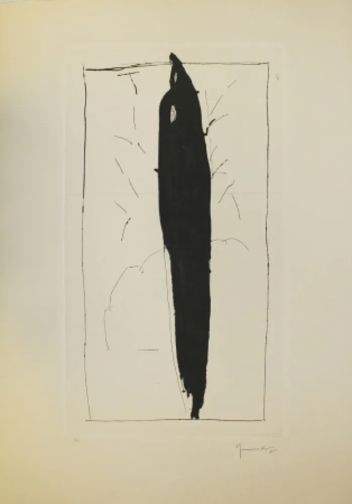 Punta Seca Hernandez Pijuan - Xiprer (Cypress)