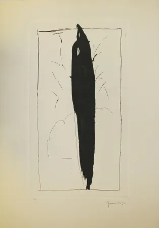 Punta Seca Hernandez Pijuan - Xiprer (Cypress)