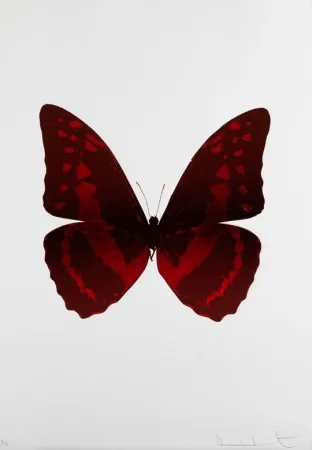 Sin Técnico Hirst - Bristol 