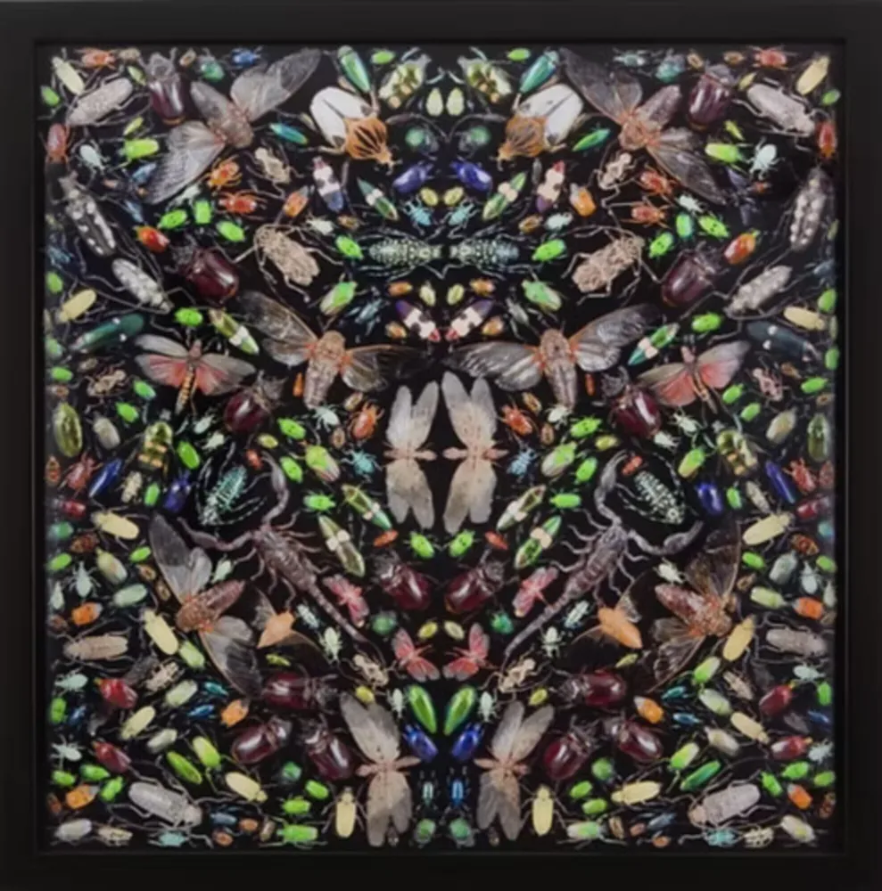 Múltiple Hirst - Inferno