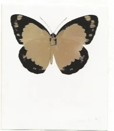 Sin Técnico Hirst - Long Life Purple African Gold Imperial Purple Skull