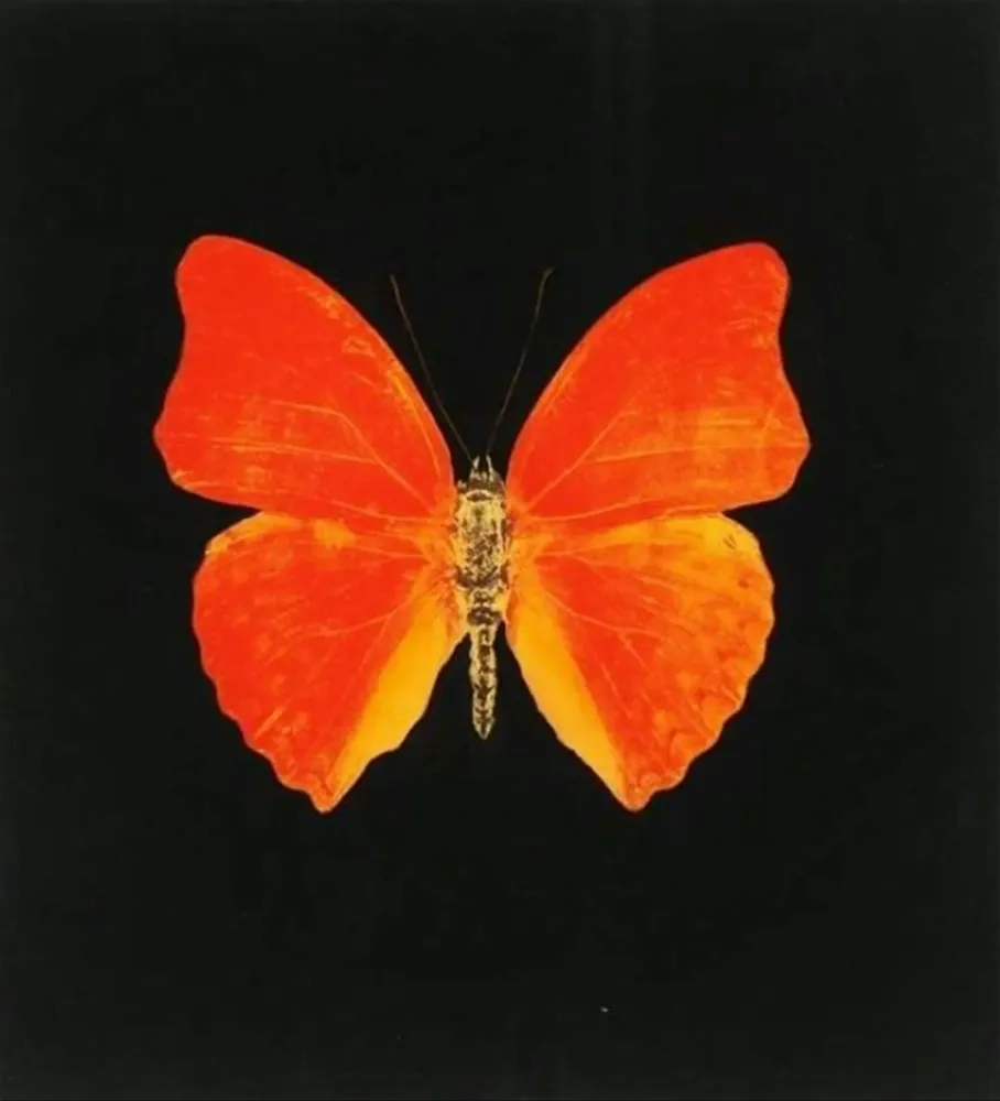 Múltiple Hirst - Memento 3