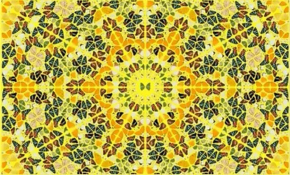 Múltiple Hirst - Splendour from the Kaleidoscopes, H18-4