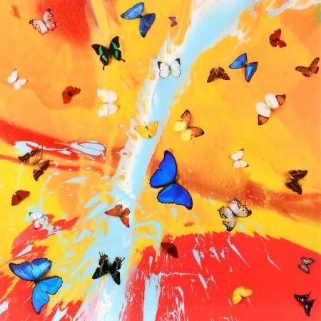 Múltiple Hirst - The Dreams – Aurora Dawn