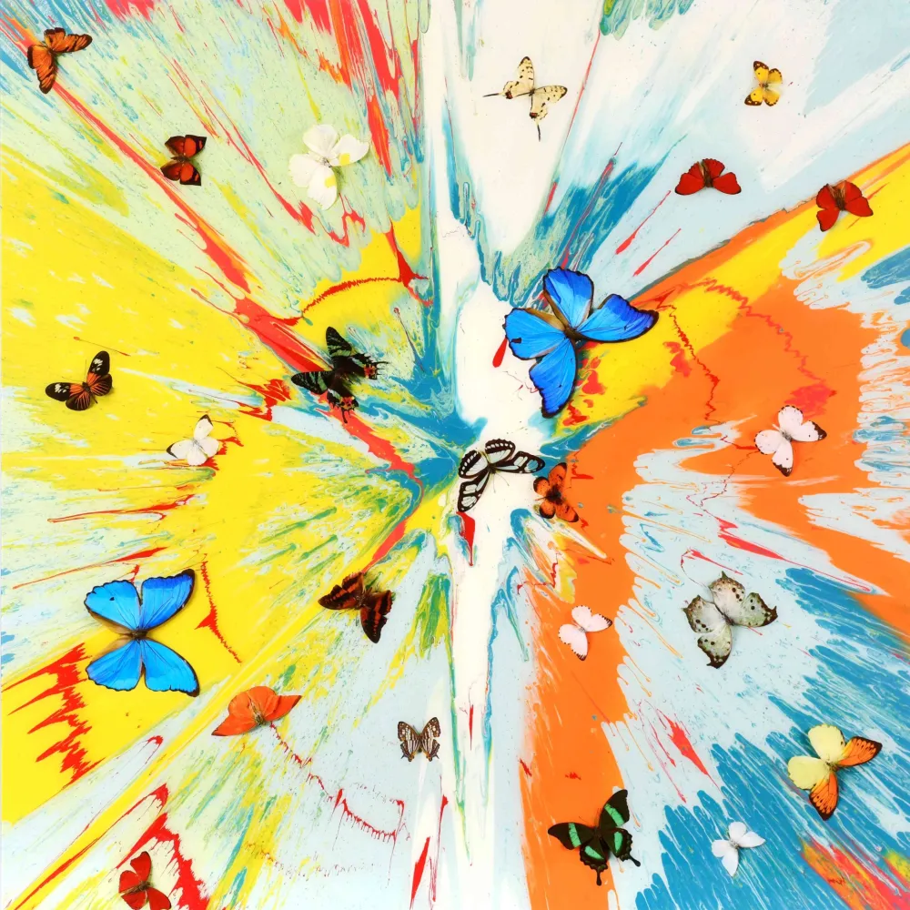 Múltiple Hirst - The Dreams – Transient Ephemera