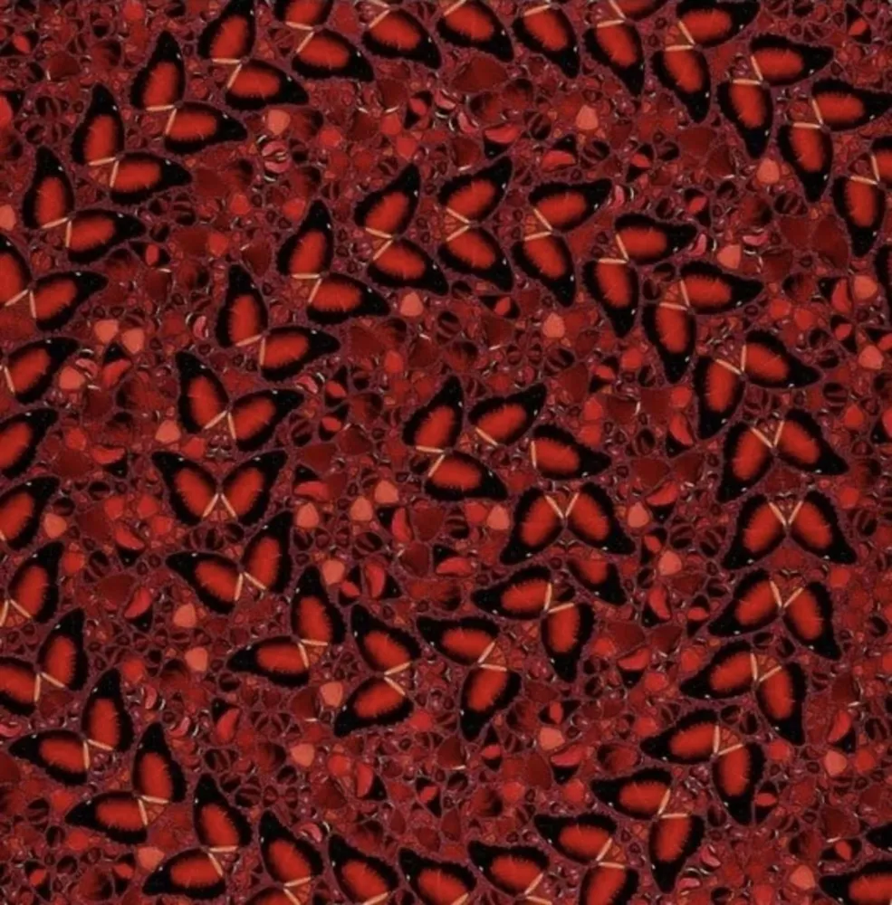 Múltiple Hirst - The Empresses (H10-5 Taytu Betul)