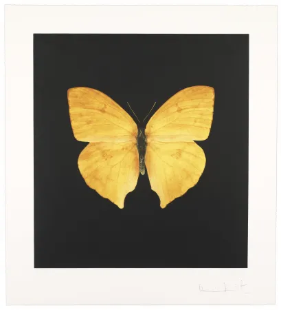 Grabado Hirst - The Souls On Jacob’s Ladder Take Their Flight I