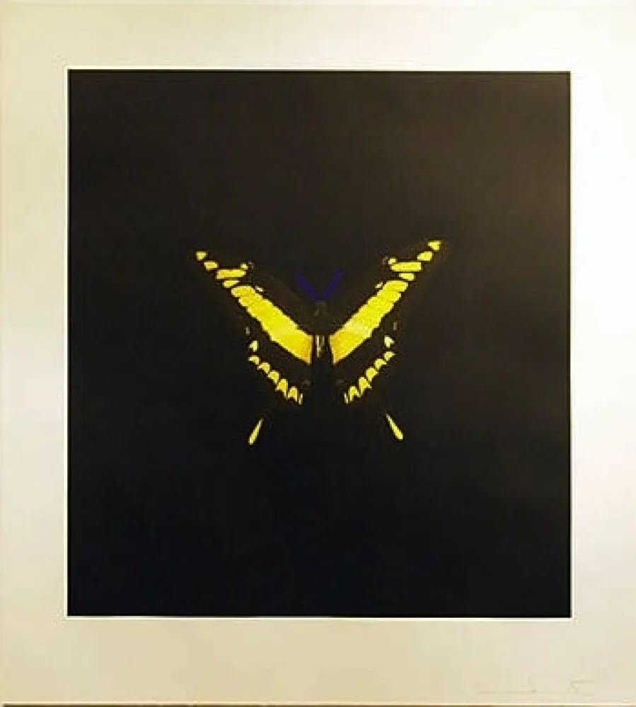 Aguafuerte Hirst - The Souls On Jacob's Ladder Take Their Flight (Small Yellow)