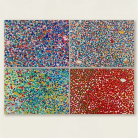Múltiple Hirst - Veils Set of 4
