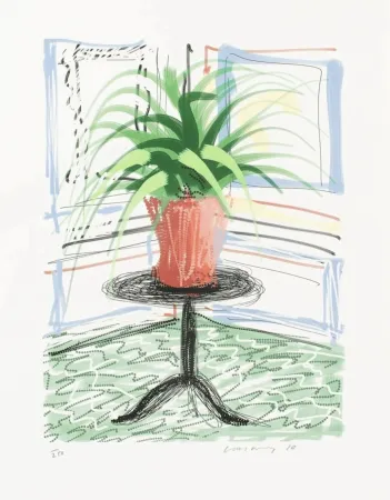 Múltiple Hockney - IPad Drawing Untitled #468