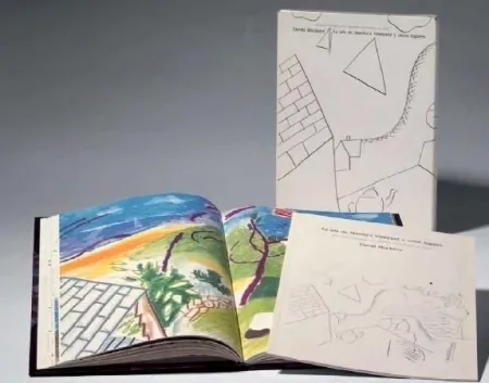 Libro Ilustrado Hockney - La Isla de Martha Vineyard y otros lugares