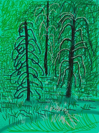 Estampa Numérica Hockney - Yosemite No.16