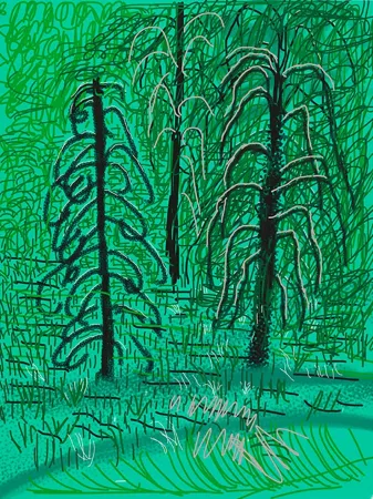 Múltiple Hockney - Yosemite No.16