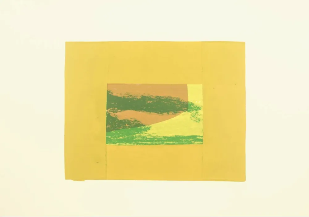 Serigrafía Hodgkin - Indian Views – Plate F