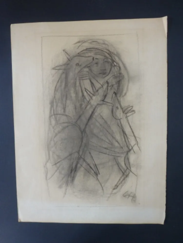 Sin Técnico Hofer - Personnage avec animaux