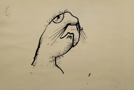 Sin Técnico Hofer - Robbe (Seal)