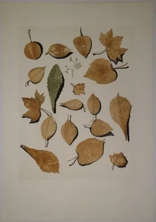 Aguafuerte Y Aguatinta Hofkunst - (Welke Laubblätter)