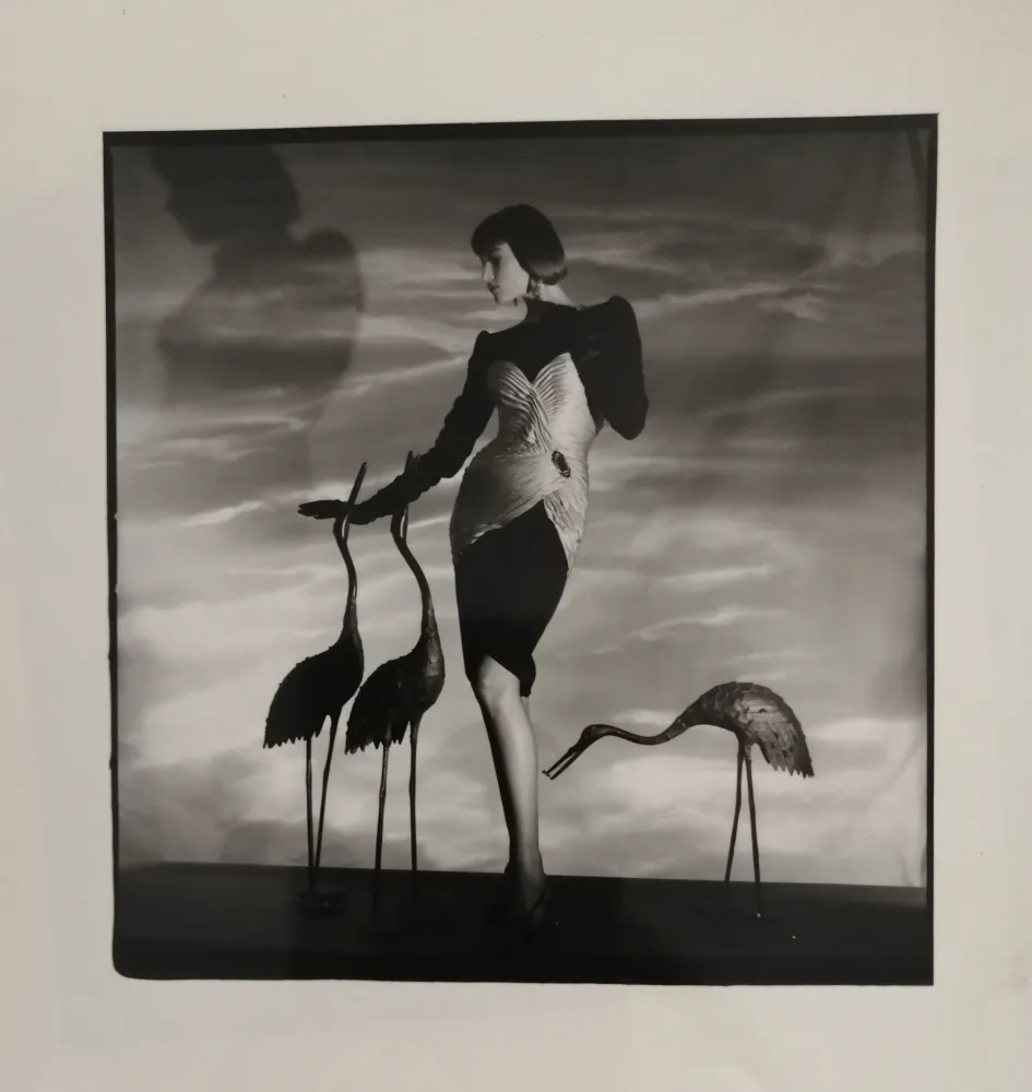 Fotografía Horst  - Femme aux hérons