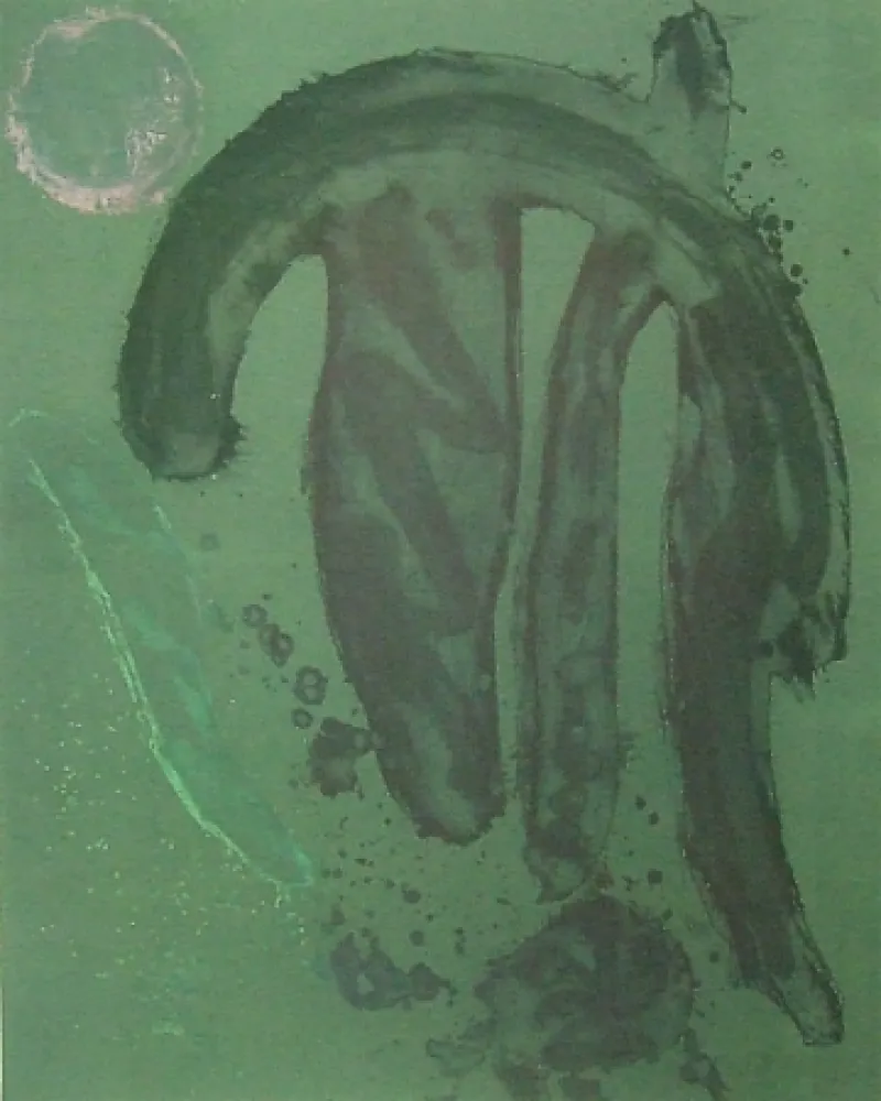 Aguafuerte Y Aguatinta Hoyland - La manga