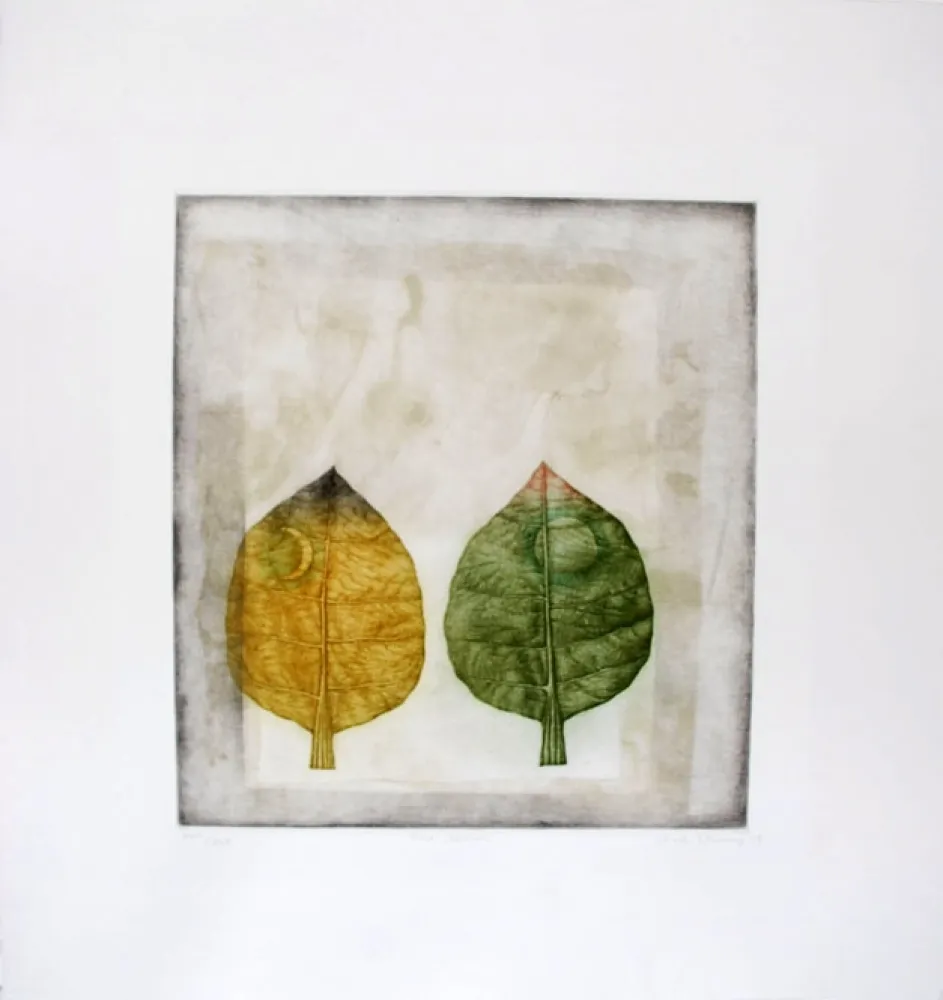 Manera Negra Hwang - Two leaves
