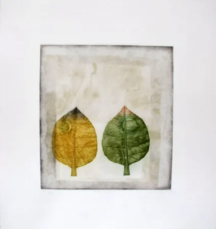 Manera Negra Hwang - Two leaves