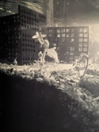 Fotografía Iglesias - Aquarium II, 1