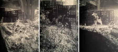 Múltiple Iglesias - Aquarium II