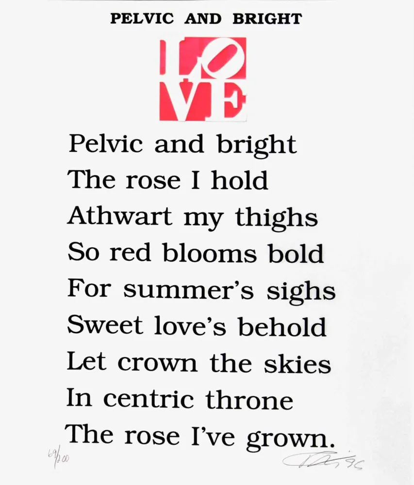 Serigrafía Indiana - PELVIC AND BRIGHT