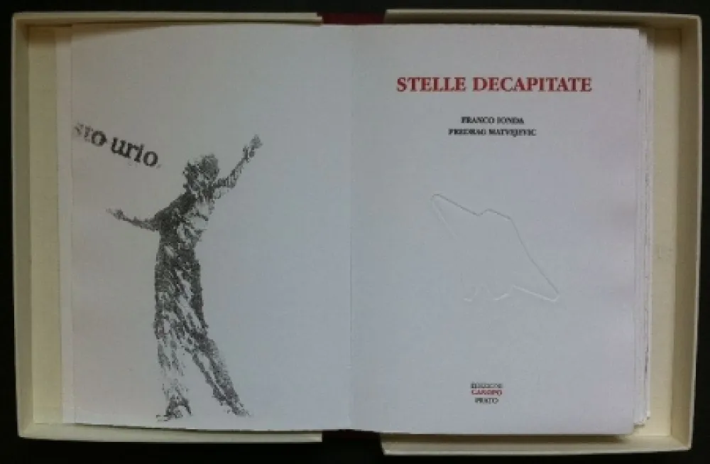 Libro Ilustrado Ionda - Stelle decapitate