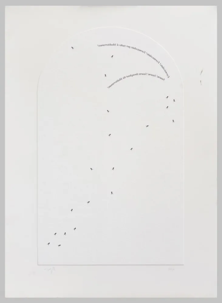 Serigrafía Isgro - Formicolate! Formicolate! Formicolate per tutto il mediterraneo!