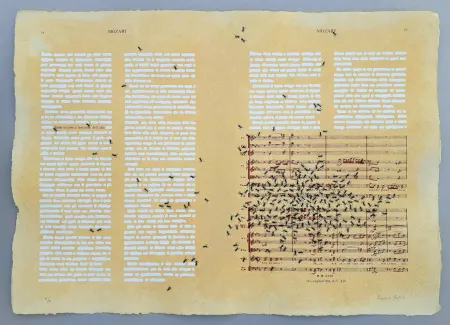 Serigrafía Isgro - Mozart