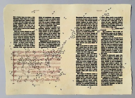 Serigrafía Isgro - Mozart