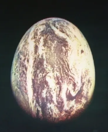 Aguafuerte Y Aguatinta Jacquet - L'oeuf