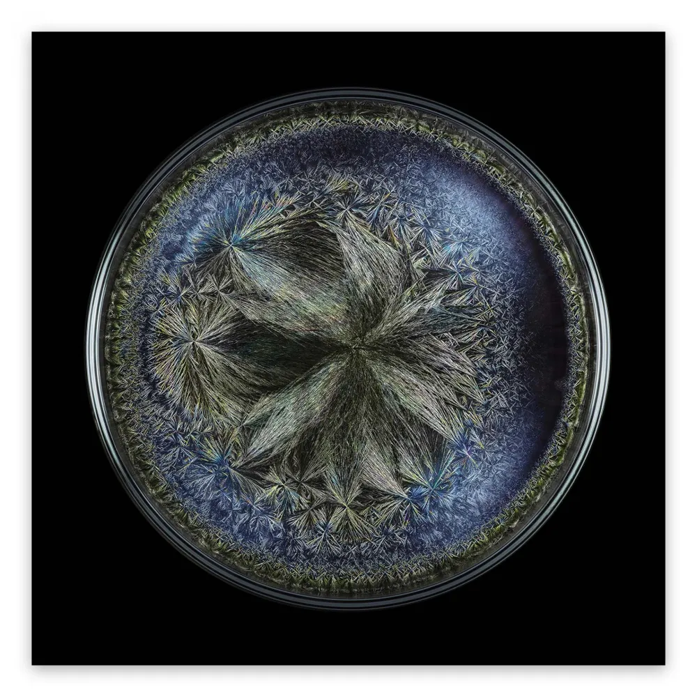 Fotografía Janiak - Morphogenetic field - Beluga Caviar