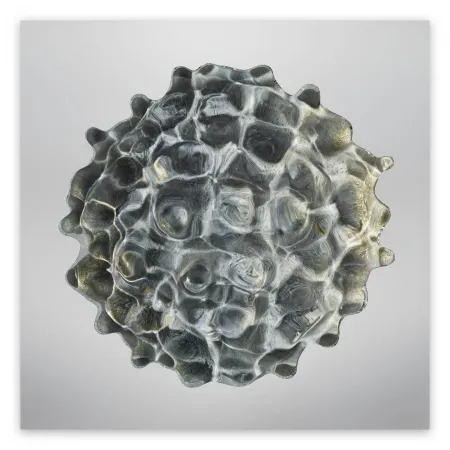 Fotografía Janiak - Résonance - water drop 84 (Large)