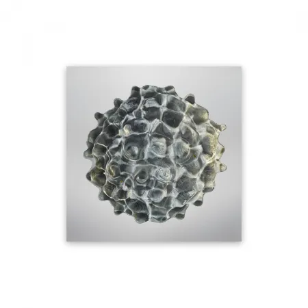 Fotografía Janiak - Résonance - water drop 84 (Medium)