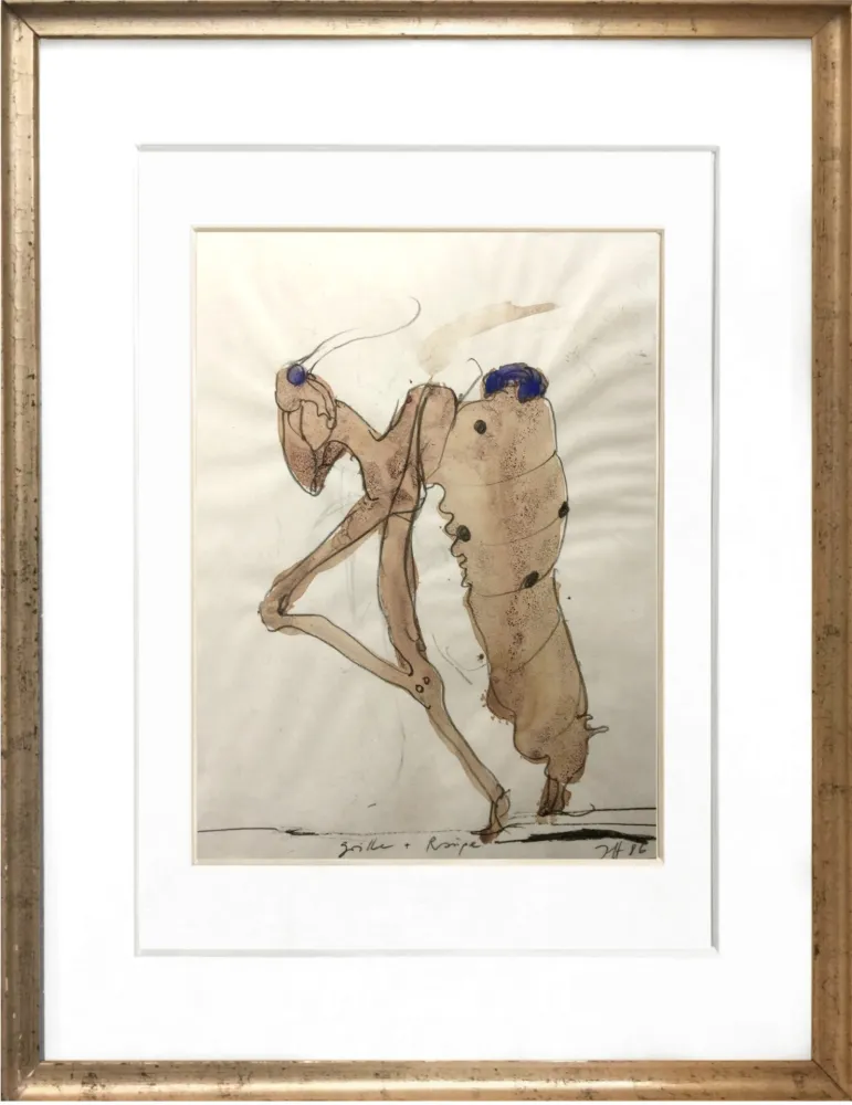 Sin Técnico Janssen - Criket