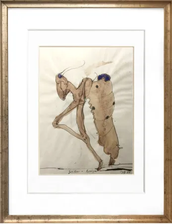 Sin Técnico Janssen - Criket