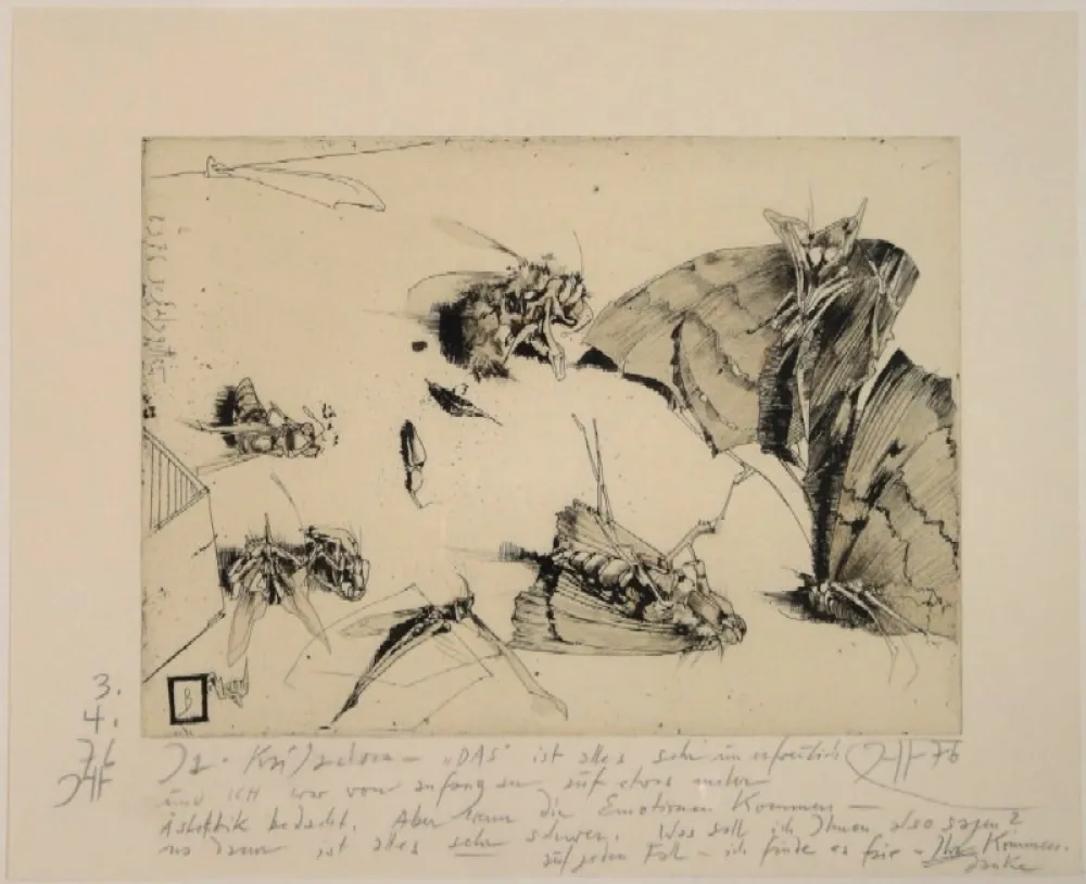 Grabado Janssen - (Tote Nachtfalter und Insekten)