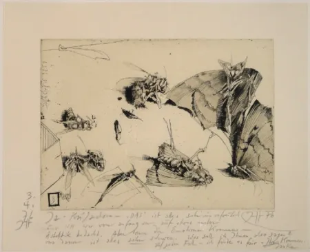 Grabado Janssen - (Tote Nachtfalter und Insekten)