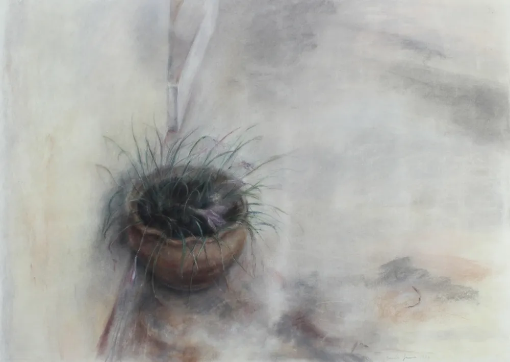 Sin Técnico Jaume - On the Patio