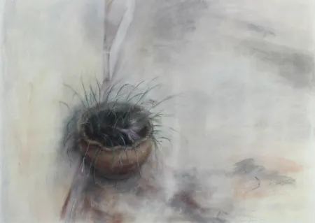 Sin Técnico Jaume - On the Patio