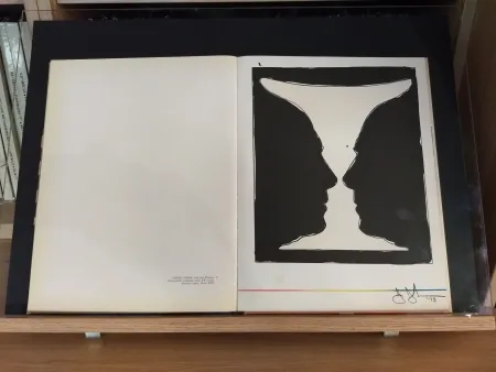 Libro Ilustrado Johns - No 40